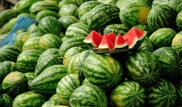 有哪些吃瓜的网红,盘点那些吃瓜群众的网红风采